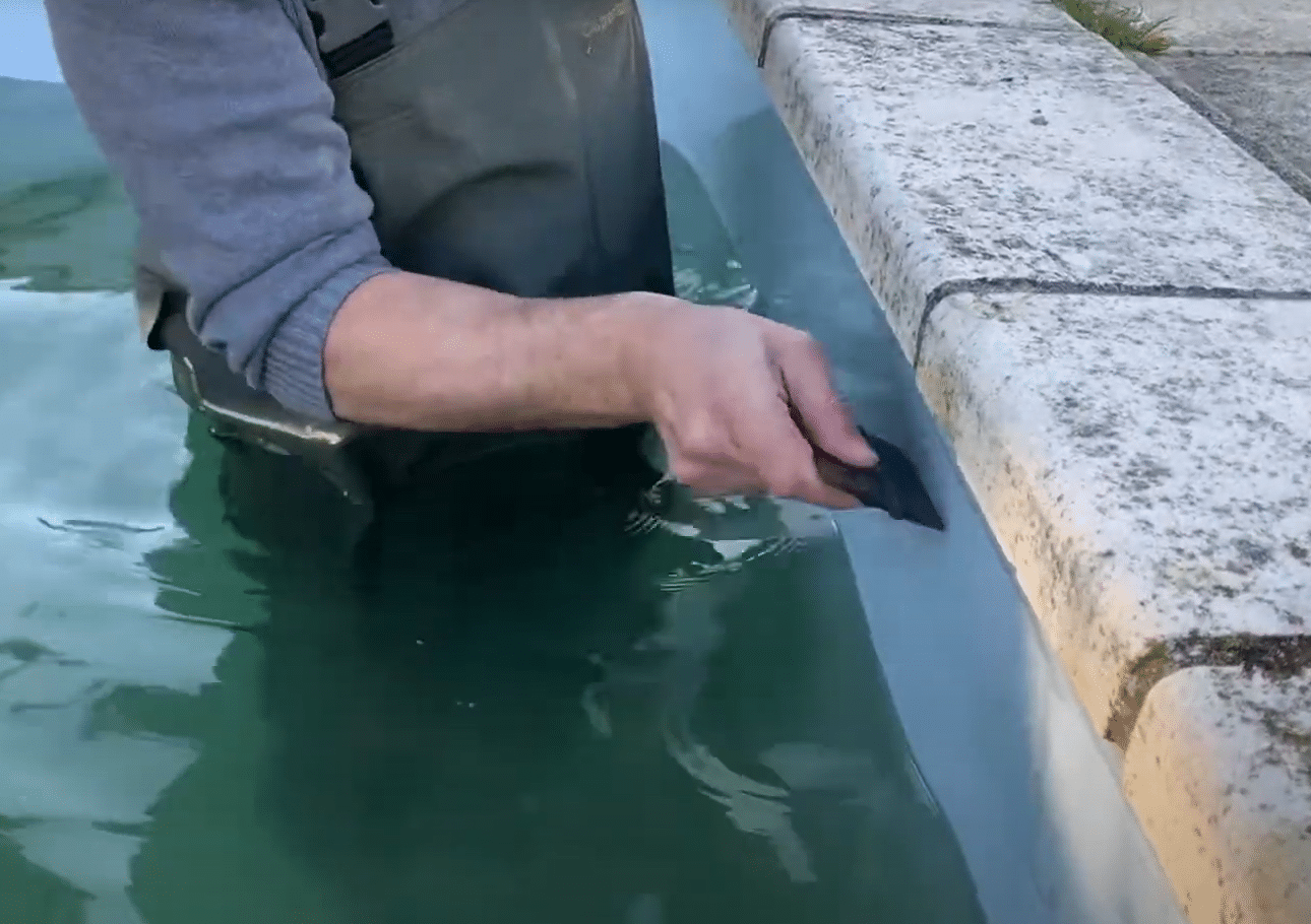 ISI-PROTECT Transparent Lg 25m – Image 8