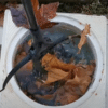 ATTRAP'SKIM Pince Multifonction – Image 8