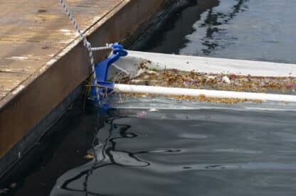 Épuisette Extra Large PLATYPOOL – Image 3